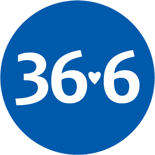 366.ru