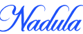 Nadula logo