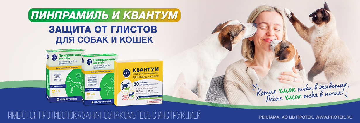 zdravcity.ru